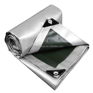 Bâche PE transparente imperméable 160 g/m² 6x8m vert-argent pour toiture, construction, échafaudage, bâtiment, entrepôt, abri - Product Image 1