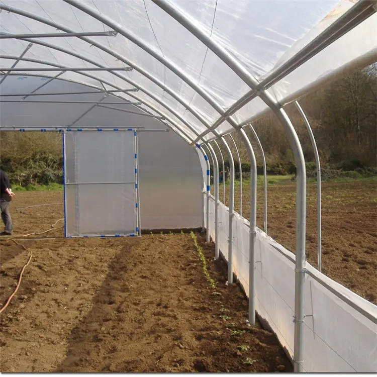 Low Cost Tunnel Greenhouse Galvanized Steel Frame Single Span Pe Film Greenhouse For Agriculture Flowers Plant