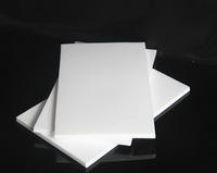 Plaque en PTFE blanc de haute qualité feuille moulée en polytétrafluoroéthylène résistant à la chaleur