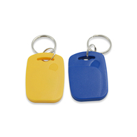 Contrôle d'accès ISO14443A 13,56 MHz Porte-clés RFID MFDes Fire EV3 2K 4K 8K Porte-clés RFID Porte-clés ABS Logo personnalisé