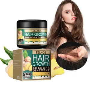 EELHOE Custom Logo 30g/100g 5 Days Ginger Hair Loss Treatment Ointment Bald Hair Growth Hair Conditioner