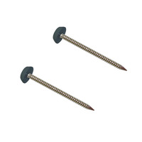Usine OEM Upvc Clous Polytop Vis 50mm 65mm Clou supérieur en plastique avec tige annulaire Clou à tige cylindrique en nylon