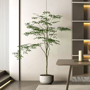 ผู้ผลิตมืออาชีพ<span class=keywords><strong>160</strong></span>เซนติเมตรความสูงธรรมชาติสีเขียวประดับพืช <span class=keywords><strong>Ficus</strong></span> ต้นไม้ - Product Image 6