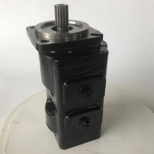 Pompe à engrenages hydraulique 3309111375 PGP502A0012CH1H1NE3E2B1B (en fonte) avec connexion 1/4 pouce, 100 bars, caractéristiques PGM PGP PGP315 PGP502 H - Product Image 6