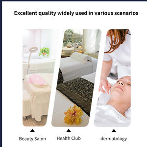 <span class=keywords><strong>Laser</strong></span> de bureau multifonctionnel 1000W pour usage corporel, alimentation électrique avec prises AU, CN, EU, UK, JP, valise trolley incluse - Product Image 4