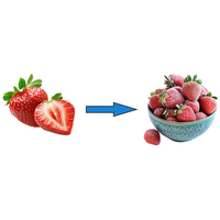 Ligne de traitement automatique pour le lavage des fraises à bulles et le nettoyage des fruits