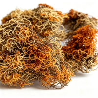 Thé Rouge de Neige Sauvage Naturel en Vrac, Direct Usine, Thé Herbal de Lichen de Haute Montagne, Boisson Bien-être Quotidienne, Vente en Gros