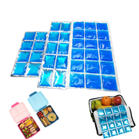 Sac de glace pour le déjeuner PVC souple PEPA garder les aliments frais glacière gel de refroidissement pack de glace sèche 12 grilles pack de glace en gel pack de refroidissement