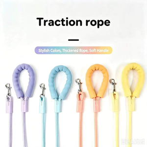 Laisse pour chien en corde de nylon colorée, épaisse et résistante, pour la promenade en extérieur, avec poignée rembourrée et mousqueton pivotant, pour chiens de grande et petite taille, vente en gros - Product Image 2