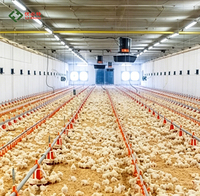 Équipement d'élevage de volailles pour fermes avicoles : Ligne d'alimentation et d'abreuvement pour poulets de chair