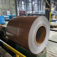 Bobine d'acier PPGL 0,45 mm 0,5 mm 0,6 mm, tôle Galvalume prélaquée PVDF pour la fabrication de profilés de toiture trapézoïdaux