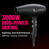 Sèche-cheveux professionnel FirePhoenix F3 MAX PRO, commande en gros, 3000W BLDC, léger 490g, séchage rapide, sèche-cheveux de salon