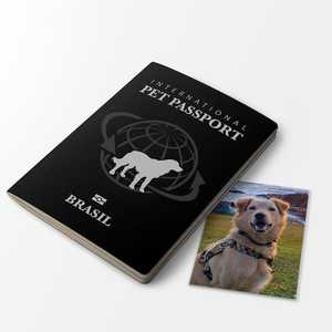 Libreta de Pasaporte Personalizada, Mini Libreta de Juguete para Niños, Libreta de Pasaporte de Juguete, Brochure de Pasaporte - Product Image 6