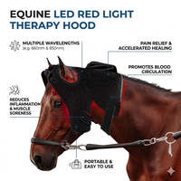 Masque de luminothérapie rouge de qualité supérieure en forme de tête de cheval pour le calme, le confort et la récupération après l'entraînement – Équipement de thérapie infrarouge équine
