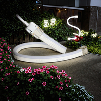 Bande LED M3 Qualité Décoration Extérieure ICRGB Neon Flex Intérieur Néon 10mm Bande Néon Contrôle Intelligent Jardin Lumière