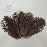 Plumes d'autruche brunes naturelles 30-35 cm, provenance Afrique du Sud, pour décoration de fêtes, loisirs créatifs et fournitures artistiques
