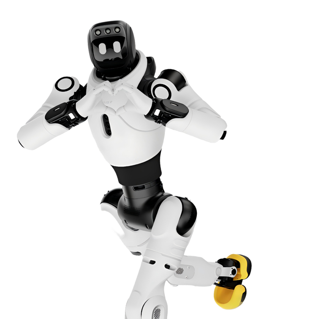 Highly Anthropomorphic Intelligent Humanoid Service Robot