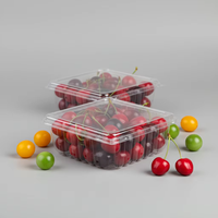 Boîte à fruits en plastique PET recyclable sur mesure, à charnière, pour myrtilles et cerises, 125-500g, emballage en blister, boîte à clapet
