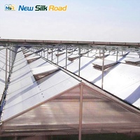 Grote Venlo-type multispan kas van polycarbonaat met verzinkt stalen frame, ventilatie- en koelsystemen