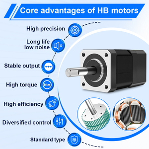 RB nema17 lai động cơ bước với ổ đĩa cho động cơ Bước <span class=keywords><strong>Nema</strong></span> <span class=keywords><strong>17</strong></span> DC động cơ 12V với hệ thống phanh cho thiết bị tự động HB 12V - Product Image 3