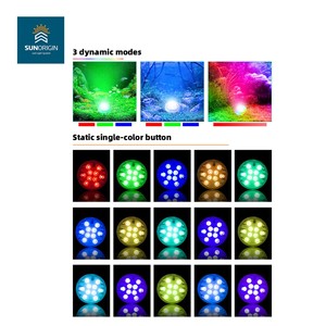 Luces Sumergibles Solares RGB IP65 para Piscina, Fuente Subacuática, Acuario, Jarrón, Iluminación LED Premium con Base - Product Image 5