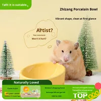 Tafit mangkuk makanan Hamster keju lucu mangkuk keramik piring mencegah mengunyah untuk Hamster Belanda tikus tikus hewan kecil
