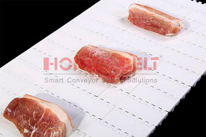 Hongsbelt Platte Top Modulaire Transportband Voor Fruit Industrie - Product Image 5