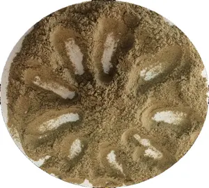 Vendita calda originale idrolizzata Spongilla in polvere per l'industria della bellezza