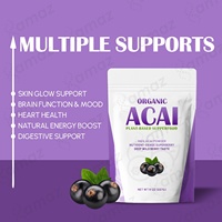 Poudre de baies d'açaï de qualité supérieure OEM Amaz, extrait végétal de haute pureté, soluble dans l'eau, poudre de jus de fruits d'açaï