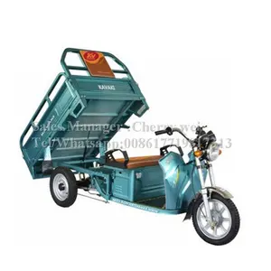 Hot Sale Electric 3-Rad Elektro-Dreirad Cargo Trike Motorisierte Dreiräder mit Hebe system