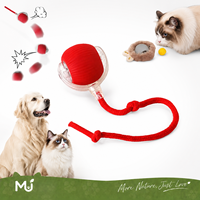 Jouet intelligent interactif pour chat, balle roulante automatique à herbe à chat, accessoires pour animaux de compagnie pour chats d'intérieur - Vente en gros
