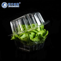 Groothandel wegwerp voedselveilige transparante PET verpakking clamshell container voor sla, fruit en groenten