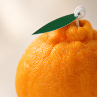 Boîte cadeau de bougies parfumées en forme de fruits, cadeau de fête, bougie décorative orange et kaki