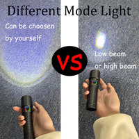 Lampe de poche LED portable super lumineuse Offre Spéciale bon marché longue durée 2 modes chargeur USB charge rapide matériau ABS utilisation en extérieur