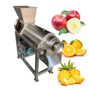 Extracteur de jus de pomme à haute efficacité à vendre Extracteur de jus de fruits industriel Machine à jus de pomme