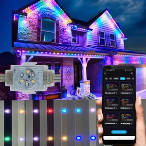 Outdoor Christmas Factory Directly Sale 100FT DC48V Rgbw Led Led Permanent Outdoor Lights Hotel Point Led Lights