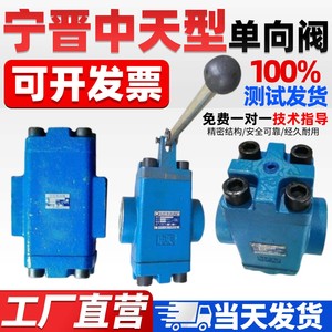 Válvula de Retención Hidráulica Controlable Ningjin Zhongtian 4D2 5D2 6D2 7D2 8D2 10D2 S B A DYF F50 - Product Image 2