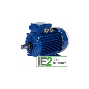 Moteur électrique CANTONI 4SIE IE4 Super Premium Efficiency pour usage industriel - Product Image 3