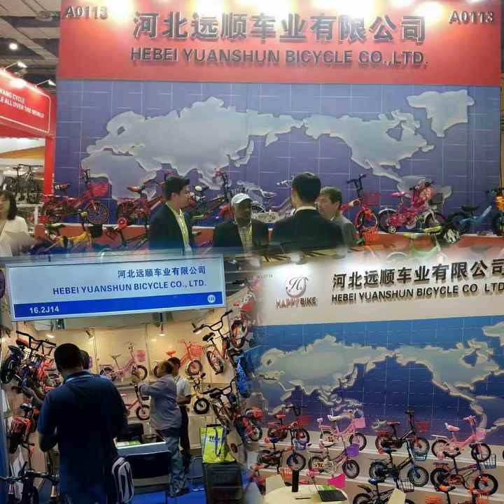 High Quality Pink Flower Princess Bicycle Multiple Colors Girls