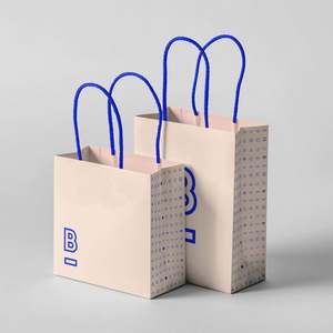 Sac de shopping en papier enduit pliable biodégradable personnalisé avec votre propre logo pour les magasins de détail de vêtements et de chaussures - Product Image 1