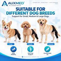 Attelle réglable pour pattes arrière de chien, stabilisateur pour blessures au ligament croisé antérieur et post-chirurgie