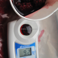 IQF Diepvries Zwarte Bessen Hele Premium Bessen 70% Zwart 30% Rood Verhouding BRC Gecertificeerd Bulk Diepvries Fruit voor Smoothies Bakkerij