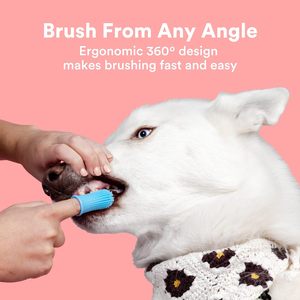 Escova de dentes para animais de estimação, produtos com design ergonômico, fácil limpeza dos dentes, para filhotes, cães e gatos, ideal para cuidados com os dentes - Product Image 5