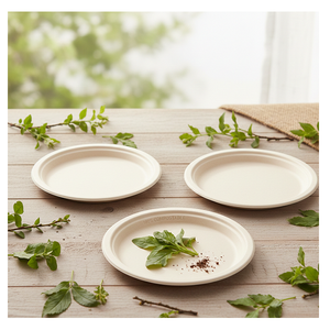 Plato Ecológico de Bagazo Biodegradable de Pulpa de Caña de Azúcar Desechable para Restaurantes, Comida para Llevar, Catering y Fiestas - Product Image 2