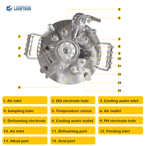 Technologie internationale Gmp approuvé fermenteur bioréacteur industriel 100L - Product Image 3