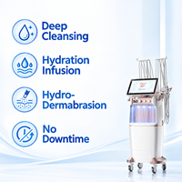 Appareil de soin du visage multifonctionnel Hydra Aqua Peel pour le nettoyage, l'hydratation et les soins de la peau