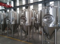 Cuve de Fermentation en Acier Inoxydable 600L – Équipement de Brassage de Bière pour Brasserie