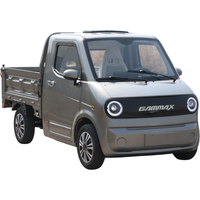 Camionnette électrique familiale à 4 roues et deux places, nouvelle énergie, pour le transport de marchandises, avec moteur 3000W et batterie au plomb-acide