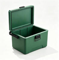 Glacière isotherme 12L en PP pour aliments, glaçons, camping, pique-nique, portable, mini