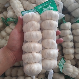 Preço por atacado 20kg Mesh Bag 5.5cm Alho Fresco Branco Normal para Exportação - Product Image 1